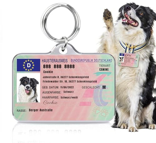 Mocessory Hundemarke mit Gravur - Personalisiert mit Name | Namensschild für Halsband - Dog Tag - Anhänger Marke für Hunde, Tiermarke für Hunde, Katzen & Welpen