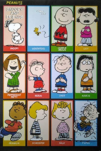 Peanuts: The Gang | US Import Filmplakat, Poster [68 x 98 cm]