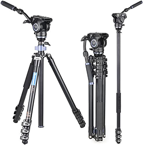 ARTCISE RF70 73,4/186,5 cm Professionelles Hochleistungs-Videostativ Fast Flip Lock Panorama-Fluidkopf mit halber Kugelschale für digitale DSLR-Kamera-Camcorder