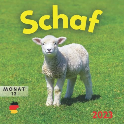 Schaf kalender 2023: schaf kalender 2023 Für Frauen Männer Kinder Teenager Büro Freund Mitarbeiter | Lustige Geschenke für Weihnachten, Neujahr, Geburtstag ... | 12 Farbfotos