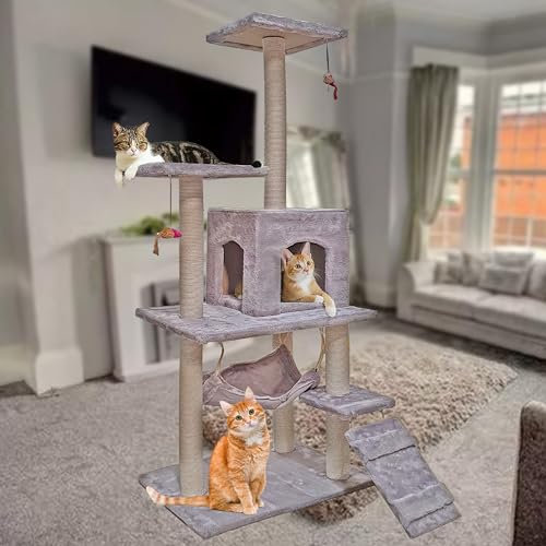 Arbre à Chat Grand Format - Centre d'Activités Stable et Robuste Avec Hamac et Jolie Maison, Taille L