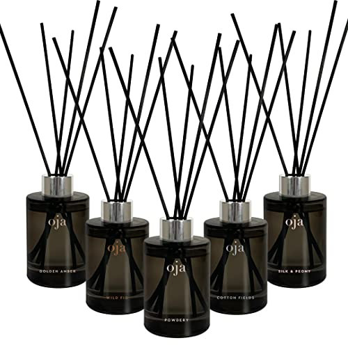 2x OJA by BM Private Selection Duftvase Reed Diffuser 100ml
