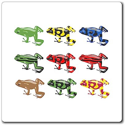 Neuheit Toad Bullfrog Croaker Exotische Tiere Enthusiast Amphibien Kaulquappe Anuran Biodiversität Magnete 7,6 cm × 7,6 cm