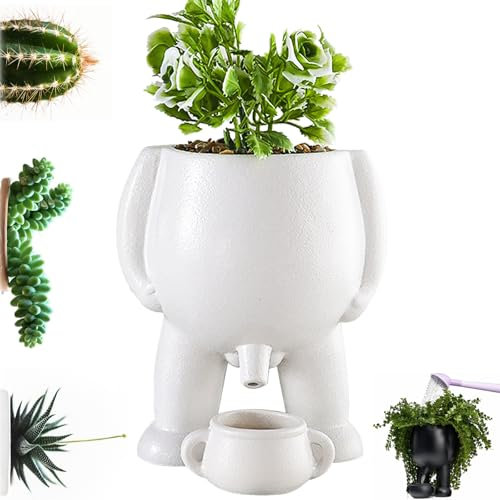 DXQCHDUO Lustige Vase, lustig für Sukkulenten-Übertöpfe, kleine Blumentöpfe für den Innenbereich, Blumentöpfe mit Ablaufloch, Heim- und Gartendekoration, lustige Geschenkidee für Pflanzenliebhaber