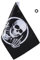 E-Most flagge für Motorrad, 15,2 x 22,9 cm, mit 10,2 cm Hülse, für 0,9 cm Fahnenstangen Skull Motorcycle Flag