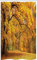ABAKUHAUS Landschaft Schmaler Duschvorhang, Herbst Pale Maple Trees, Badezimmer Deko Set aus Stoff mit Haken, 120 x 180 cm, Orange und Braun