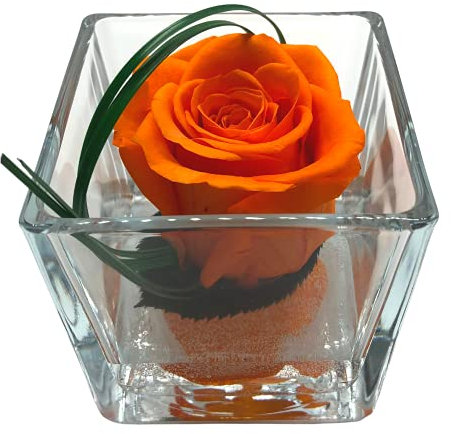 Rose Eternelle La Vie en Rose - Vaso quadrato in vetro, colore: Rosa stabilizzata - Composizione floreale - Rosa Arancione