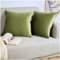 Blumtal Set di 2 Federe Cuscini Divano 30x50 cm in Velluto, con Chiusura Lampo Invisibile, Eleganti Copricuscini Divano in Morbido Velluto,Taglia 30 x 50, Verde