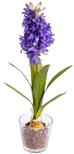 künstliche Frühlingsblume Hyazinthe auf Zwiebel mit Blättern im Glas Farbe: lila