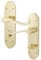 EAI Polished Brass Bathroom Door Handles - Victorian Scroll Shaped | 1 Pair of Internal Handles
