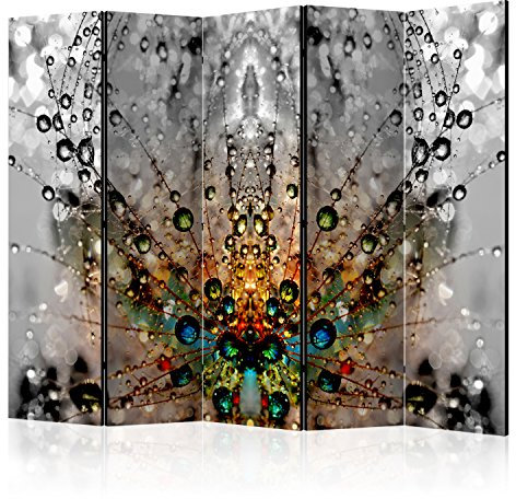 RAUMTEILER/PARAVENT B&D XXL Raumteiler Pusteblume Natur Foto Paravent 225x172 cm beidseitig auf Vlies-Leinwand Bedruckt Trennwand Spanische Wand Sichtschutz Raumtrenner Home Office grau Blue