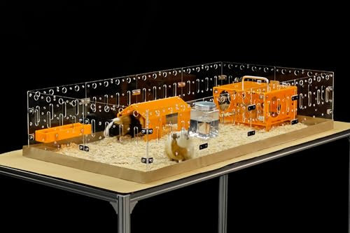 GuineaLoft™ Acrylic Cage (Modell-A) – Großer 1,2×0,6m offener Käfig für Meerschweinchen, Kaninchen, Wachteln, Igel, umherstreifende Kleintiere, DIY erweiterbar – Besuchen Sie den Guinea Loft Store