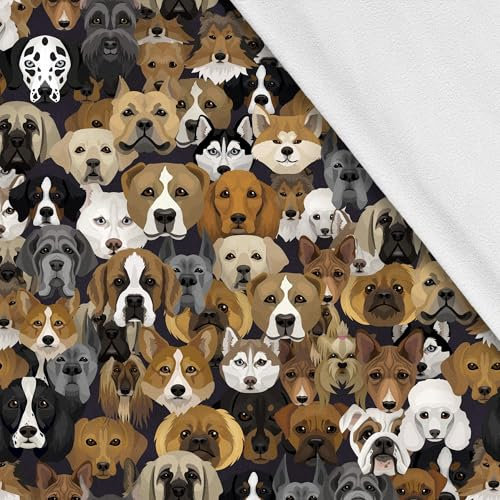 HEKO PANELS Softshell Stoff Meterware Outdoor Stoff Wasserfest Mit Fleece Stoff Zum Nähen Nähstoffe Windfest Für Jacke Wandern Sport Overall Hunde 3 Meter 145 x 300 cm