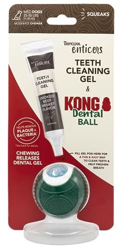 TropiClean Enticers Kong Dental Ball Kit for Medium Dogs | Teeth Cleaning Gel | Smoked Beef Brisket Flavor | 29.57 ml
