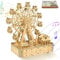 3D Wooden Puzzle, DIY Musical Ferris Wheel Model Kits, Mechanical Construction Puzzle Model Craft Toy Set, Christmas and Birthday Gifts for Teenagers and Adults.