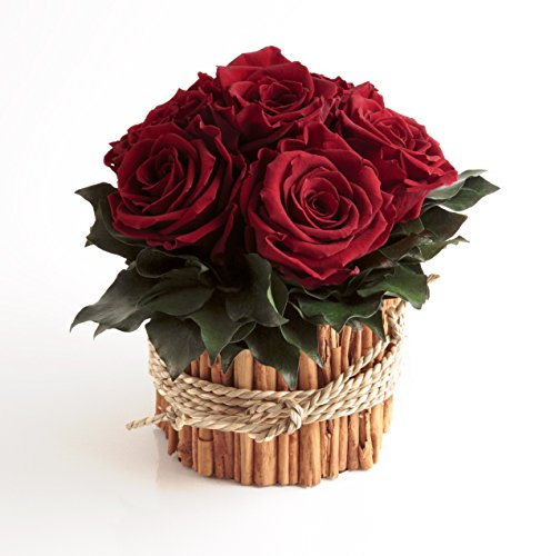 ROSEMARIE SCHULZ Heidelberg Rosengesteck 6 konservierte Rosen lang haltbar 3 Jahre/Blumengesteck/Bauernhaus/Blumen Deko/Tisch (Dunkelrot)