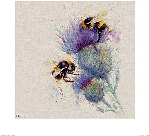 Jane Bannon (Bees On Thistle 60 x 60cm Art Print