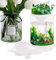 Kleines Aquarium, durchscheinend, leise, mit Filtersystem, Wasserschale, Hydrokultursystem, Aquaponisches Ökosystem, Aquarium, für Zuhause, Wohnung, Arbeitsplatz, Fischgeschäft