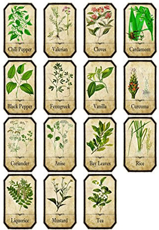 Apotheker-Gewürz-Etiketten im Vintage-Stil, 2 Stück, selbstklebende Rückseite, Vinyl, wasser- und ölfest, 15 Stück