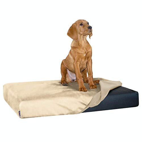 tierlando Quick-Cover Medic Matratzenschoner Carlos (Gr. L Bett (MATRATZE 100x80 cm), 05 Creme)