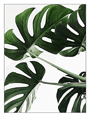 ABCWARRT Grüne Pflanze Malerei Monstera Poster Wandkunst Leinwand Bild Nordic Blätter Kaktus Poster Für Wohnzimmer Schlafzimmer Wohnkultur (40 * 60cm Kein Rahmen,7)