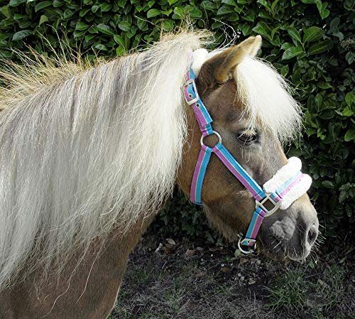 Rhinegold 323-turq Stripe-shet Bright Striped Fur Trim Small Pony Halfter Turquoise Stripe, Shetland EU
