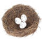 Nido Artificial para Pájaros - Decoración de Jardín, Naturaleza, Arte, Manualidades - Jaula Vintage Creativa para Pascua, Primavera, Tienda Óptica