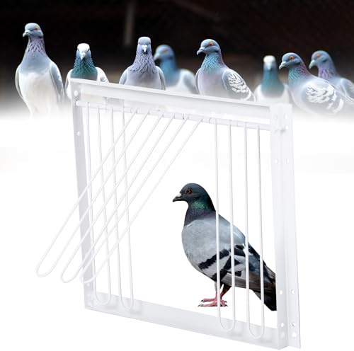 MOGOULUA Vogelkäfig T-Trap Tür Taube Eingangstür Haustier Vögel Einweg-Fenstertür Vogelkäfig Tür für Renntaube Taube Haus Eingangstür Eisen Papagei Eingangstür Vogelzucht Zubehör 33 x 26 cm