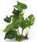 Jzhen Plante d'aquarium Artificielle de 20 cm, DéCoration Accueil Doux Plantes