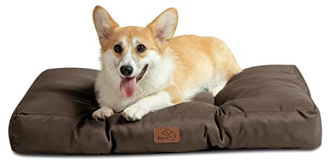 BEDSURE Hundekissen kleine Hunde waschbar - 76x50cm hundematratze wasserdicht M für kleine, mittelgroße Hunde Outdoor gepolstert Hundematte braun in 10cm Höhe