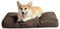 BEDSURE Hundekissen kleine Hunde waschbar - 76x50cm hundematratze M für kleine, mittelgroße Hunde Outdoor gepolstert Hundematte braun in 10cm Höhe