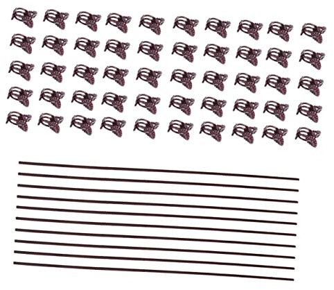 BESPORTBLE Lot de 2 Tuteurs de Fleurs pour Plantes Grimpantes 50 Clips de Vigne Robustes pour Rosiers Miniatures Phalaenopsis 10 Pièces