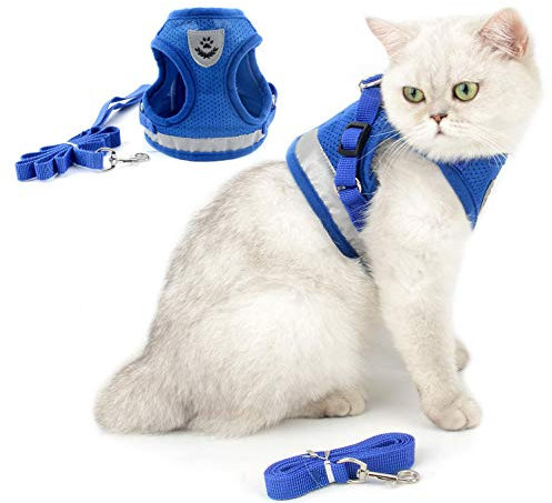 Ranphy Katzengeschirr Mit Leine Ausbruchsicher Verstellbar Reflektierend Gepolstert Brustgeschirr Welpen Welpengeschirr Step InWeichem Netzstoff Geschirr für Kleine Katzen Erwachsene Katzen Blau XL