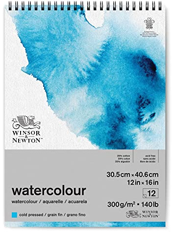 Winsor & Newton Watercolour Paper Cold Pressed 30.5 x 40.6 cm - 300 g