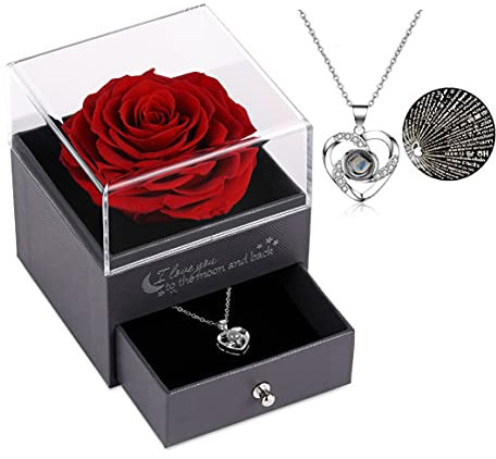 Eaprala Geschenke für Freundin, konservierte Blumenrose mit Herz-HalsketteLove You 100 Languages, echte Rosenblütengeschenke für Sie, Mutter, Muttertag, Jahrestag, Geburtstag, Abschlussfeier, Vale