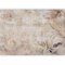 murando - Papier peint panoramique nature 200x140 cm - Revêtement mural décoration salon - Design moderne - Marron beige vert - Oiseaux fleurs plantes nature fond texture vintage b-C-0890-a-a