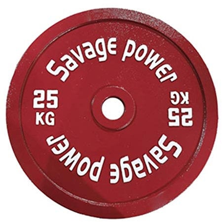 Cfty EIN Paar Gewicht Barbell Platte Krafttraining Platten aus Gusseisen Hantelscheiben Olympic Fractional Gewicht Platten for Barbell oder Hantel PU Home Gym Gewichtheben, 2 Inch Hantelscheiben