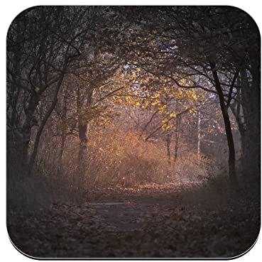 Sotto Vetro di sughero - Percorso Scuro in Una Foresta Autunno Paesaggio Naturale - 1 unità (95 x 95 mm)