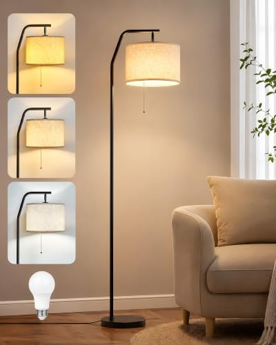 GOEBLESON Stehlampe für Wohnzimmer, 3 Farbtemperaturen 3000K-6000K | Stehleuchte, 9W-LED-Leuchtmittel, Standleuchte mit Zugschalter, Wohnzimmerlampe, hohe Lampe für Schlafzimmer, Büro ZE29LDD05