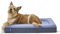 Casper Hundebett aus Plüsch-Memory-Schaum, Größe L, 88,9 x 114,3 x 17,8 cm, Blau