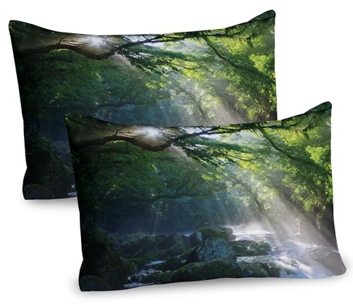 ABAKUHAUS Regenwald Kissenbezug Packung mit 2, Dschungel Steine unter Schatten Bäume Sonnenstrahlen Morgen Natur Foto Muster, Dekorativer Standard Gedruckter Kissenbezug, 80 x 40 cm, Grün Weiß