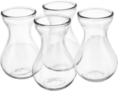 Cabilock Lot De 4 Pots De Fleurs Hydroponiques en Verre De Jacinthe pour Décoration De Maison Et De Bureau
