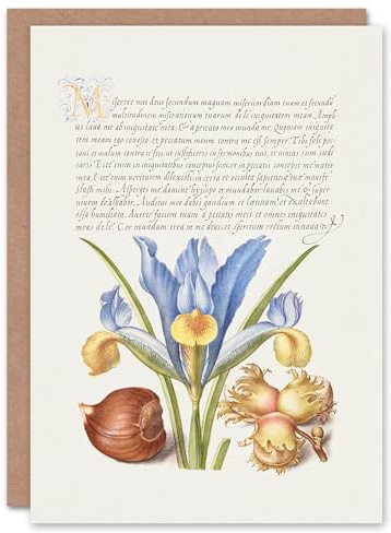 Artery8 Art Card Iris Flower and Hazelnut Model Book of Calligraphy