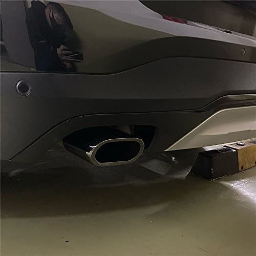 BVDOUE Auto Edelstahl Auspuffblende Auspuffblenden Auspuffrohr Abdeckung Zubehör Auspuff Endrohr, für BMW 318 X3 E83 F25 Auspuff Blende