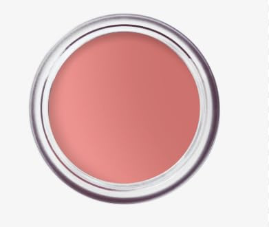 Bobbi Brown Pot Rouge Velvet Matte | samtig-mattes Rouge | 2-in-1 für Wangen und Lippen