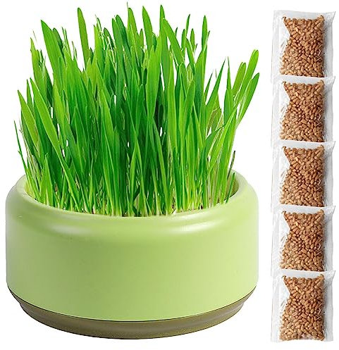 Virtcooy Cat Grass Planter | Cat Grass For Indoor Cats | Cat Grass Seeds | Cat Grass Planter Tray | Cat Grass Box | Cat Grass Growing Kit | Soil Free Cat Snacks For Digestion, Green