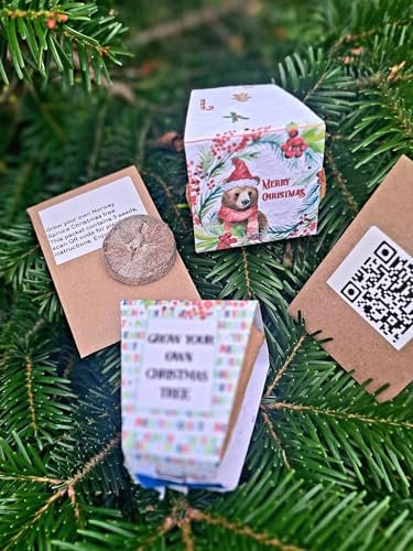 Grow Your Own Dancing Plant Kit – Mimosa Pudica Seeds – Fun Grow Kit with Pot, Soil, Dome & Stand – Watch It Move! Unique Stocking Filler or Secret Santa Gift for Kids & Adults