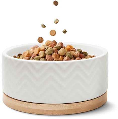 FREUDENTIER Hundenapf aus Keramik mit Bambus-Boden - 990ml - rutschfest & spülmaschinenfest - Moderner Futternapf/Fressnapf für Grosse Hunde & kleine Hunde - Napf Hund (Weiß, 1x)