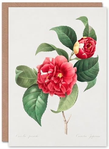 Artery8 Pierre-Joseph Redouté Art Card Camelia Vintage Floral Illustration