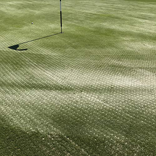 Samore Rasendsand 25 kg Spezial Rasensand Rasen 0,1-0,3 mm (H1) Sand Grassand Gras Rasenpflege Spezialsand Quarzsand Düngehilfsstoff zur Bodenverbesserung